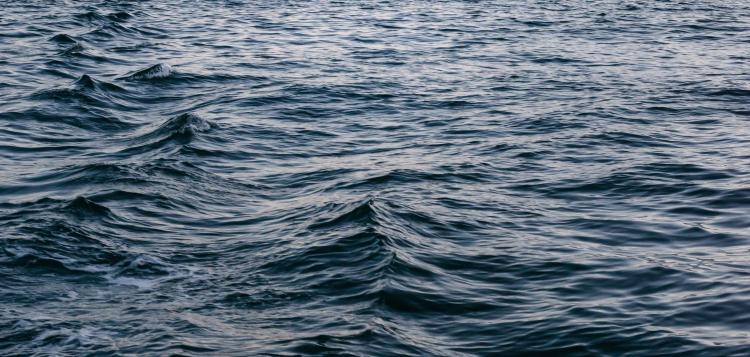 Renacimiento, faros y tormentas: el desarrollo profesional en tiempos de incerti...