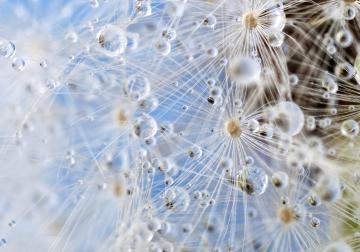 http://52.30.162.43/sites/default/files/styles/article_normal/public/2019-01/iStock-475537050.jpg?itok=lYz-u7fH&x=1752229474