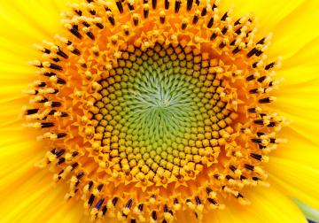 http://52.30.162.43/sites/default/files/styles/article_normal/public/2020-05/iStock-476662950.jpg?itok=Sx8_jYsM&x=1759606435