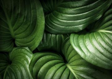 http://52.30.162.43/sites/default/files/styles/article_normal/public/2020-05/iStock-532350836%20%284%29.jpg?itok=O-AopaUK&x=1759606435